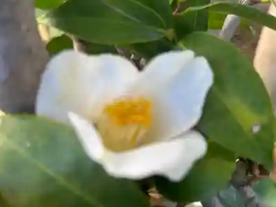 西方山極楽寺(岐阜県)
