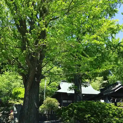 温泉神社～磐梯熱海温泉～の自然