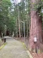 若狭彦神社(上社)のその他建物