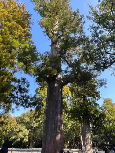 伊勢神宮外宮（豊受大神宮）(三重県)