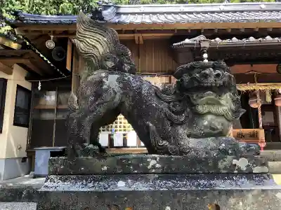男女神社の狛犬