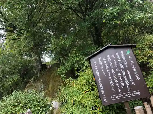 大興善寺の建物その他