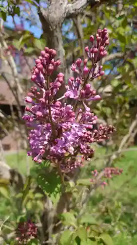 相馬神社(北海道)