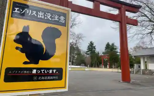北海道護國神社の動物