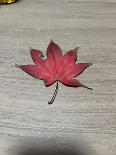 大宮温泉神社(栃木県)