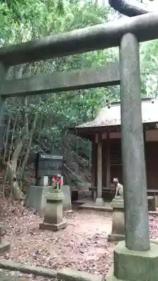 妻恋稲荷神社の鳥居