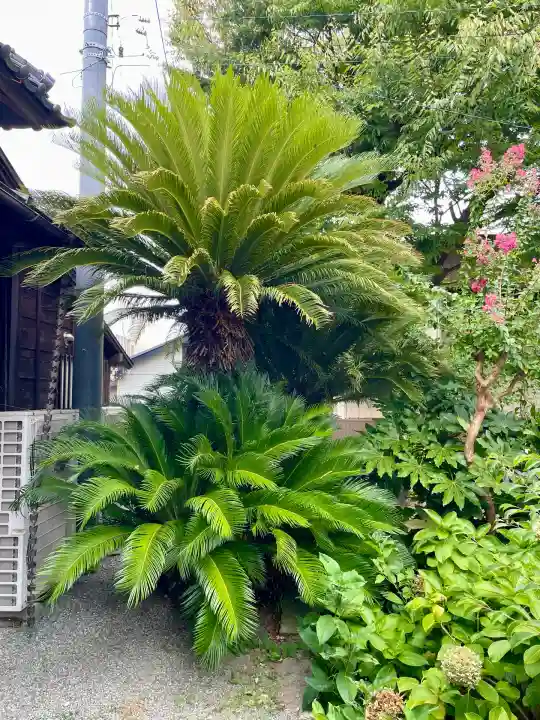 妙輪寺(神奈川県)