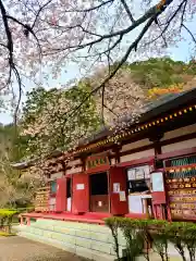 鳳来寺(愛知県)