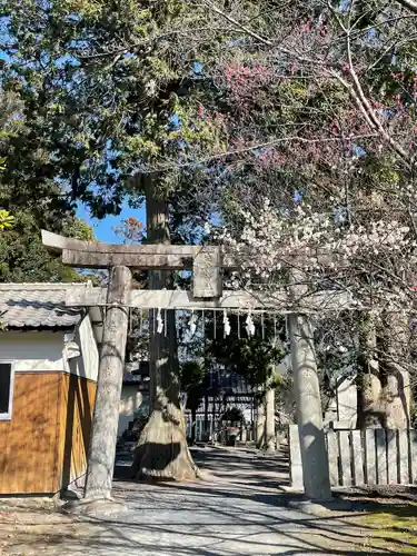 近津神社の鳥居