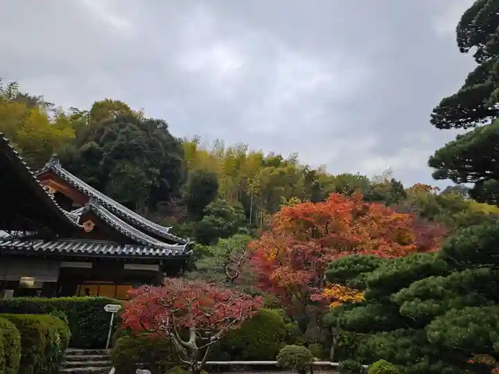 華厳寺(鈴虫寺)(京都府)
