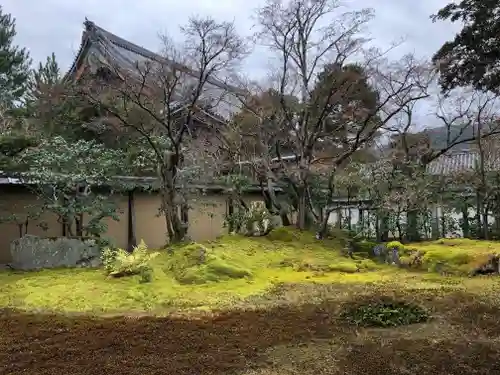 清凉寺の庭園