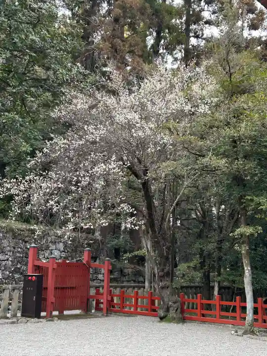 一之宮貫前神社(群馬県)