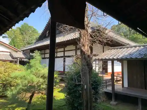 隨心院（随心院）の本殿・本堂