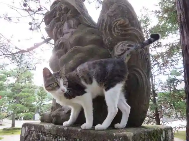 智恩寺(京都府)