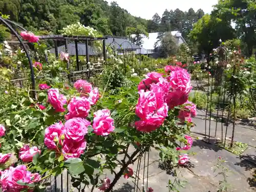 大安禅寺(福井県)