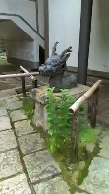 瑞鳳寺の狛犬