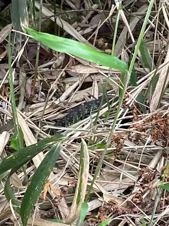 中山寺奥之院(兵庫県)