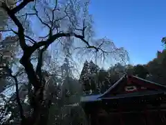 清水寺(長野県)