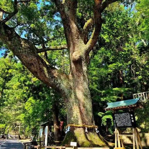 事任八幡宮(静岡県)