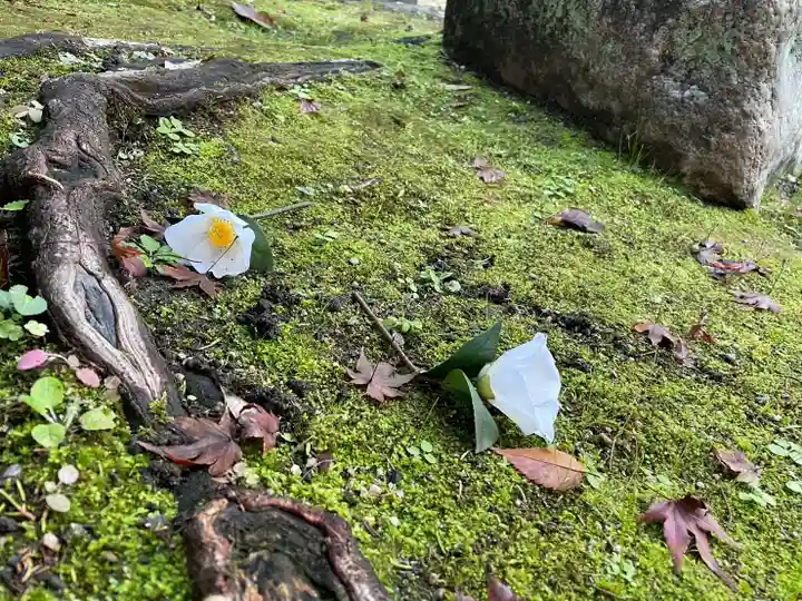 伊勢の国 四天王寺(三重県)