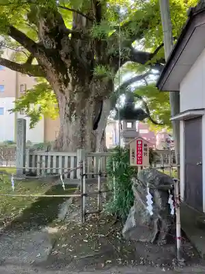 神明宮(石川県)