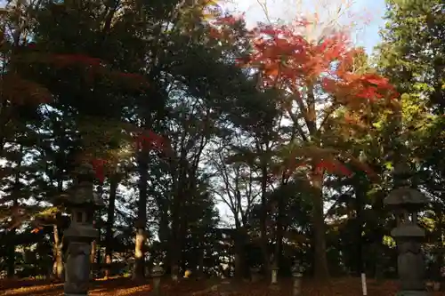 國祖神社の自然