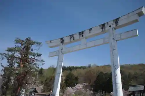 山梨縣護國神社の鳥居