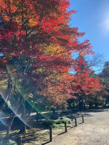 平林寺(埼玉県)