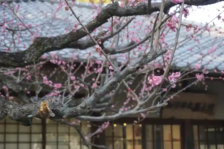 七尾神社の周辺