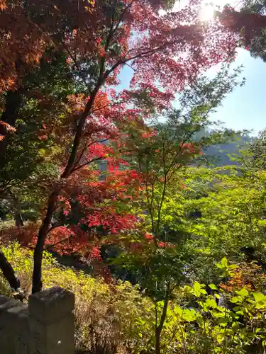 柳谷観音　楊谷寺(京都府)