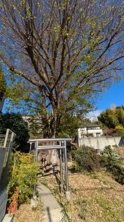 豊媛大明神(大阪府)