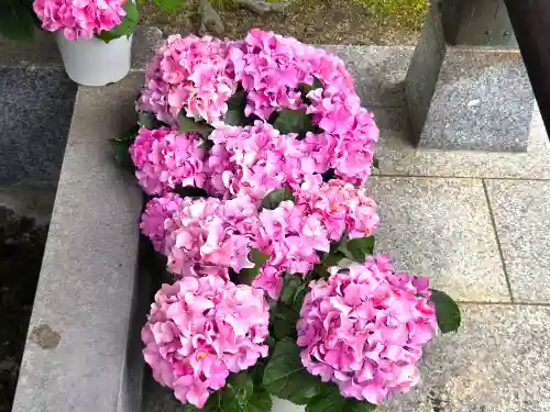 曼荼羅寺(香川県)
