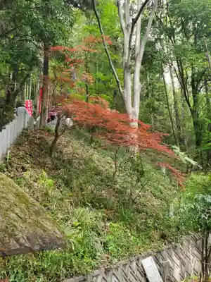 磯山弁財天(栃木県)