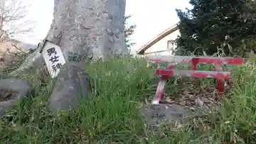 若宮八幡宮(長野県)