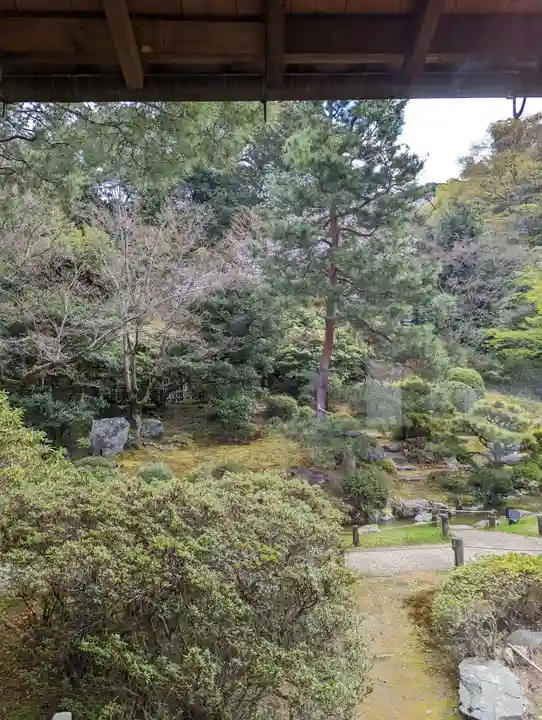 青蓮院門跡の庭園