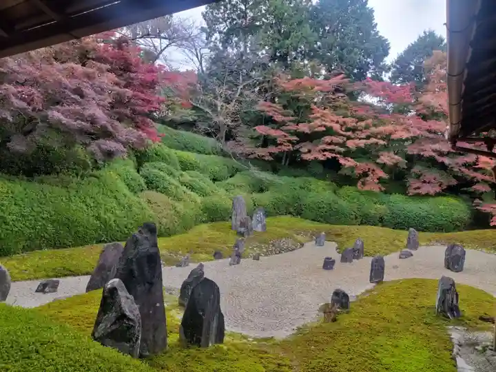 光明院(光明禅院)(京都府)