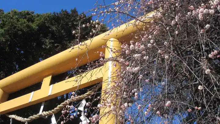 水海道天満宮(茨城県)