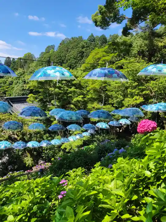 柳谷観音 楊谷寺(京都府)