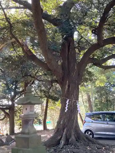 八雲神社(神奈川県)