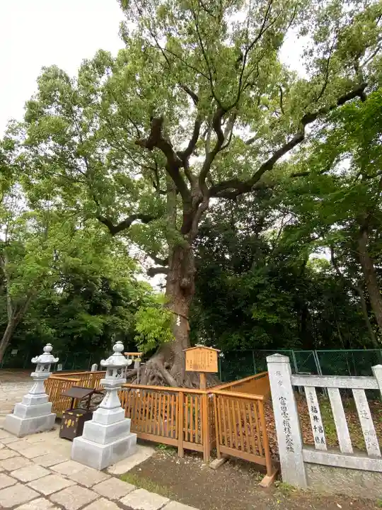 和泉國一之宮 大鳥大社の自然