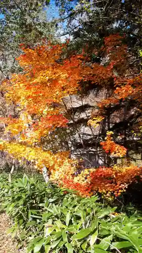 西の里神社の景色