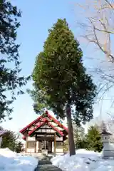 江部乙神社(北海道)