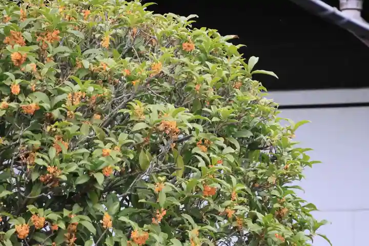 大鏑神社の庭園