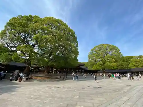 明治神宮(東京都)