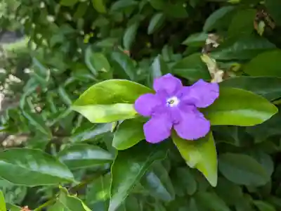 長谷寺(神奈川県)