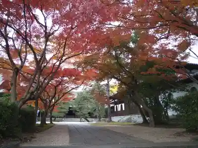 梅林寺(福岡県)