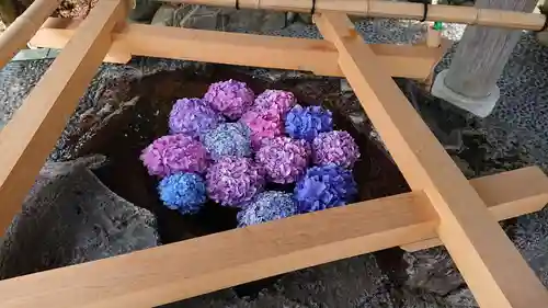 伊勢山皇大神宮の手水舎