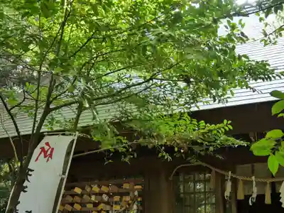 縣居神社(静岡県)