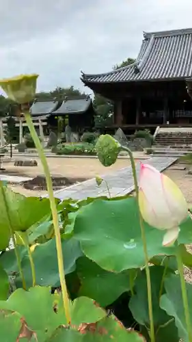 餘慶寺の建物その他