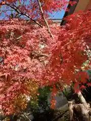 八剱八幡神社の自然